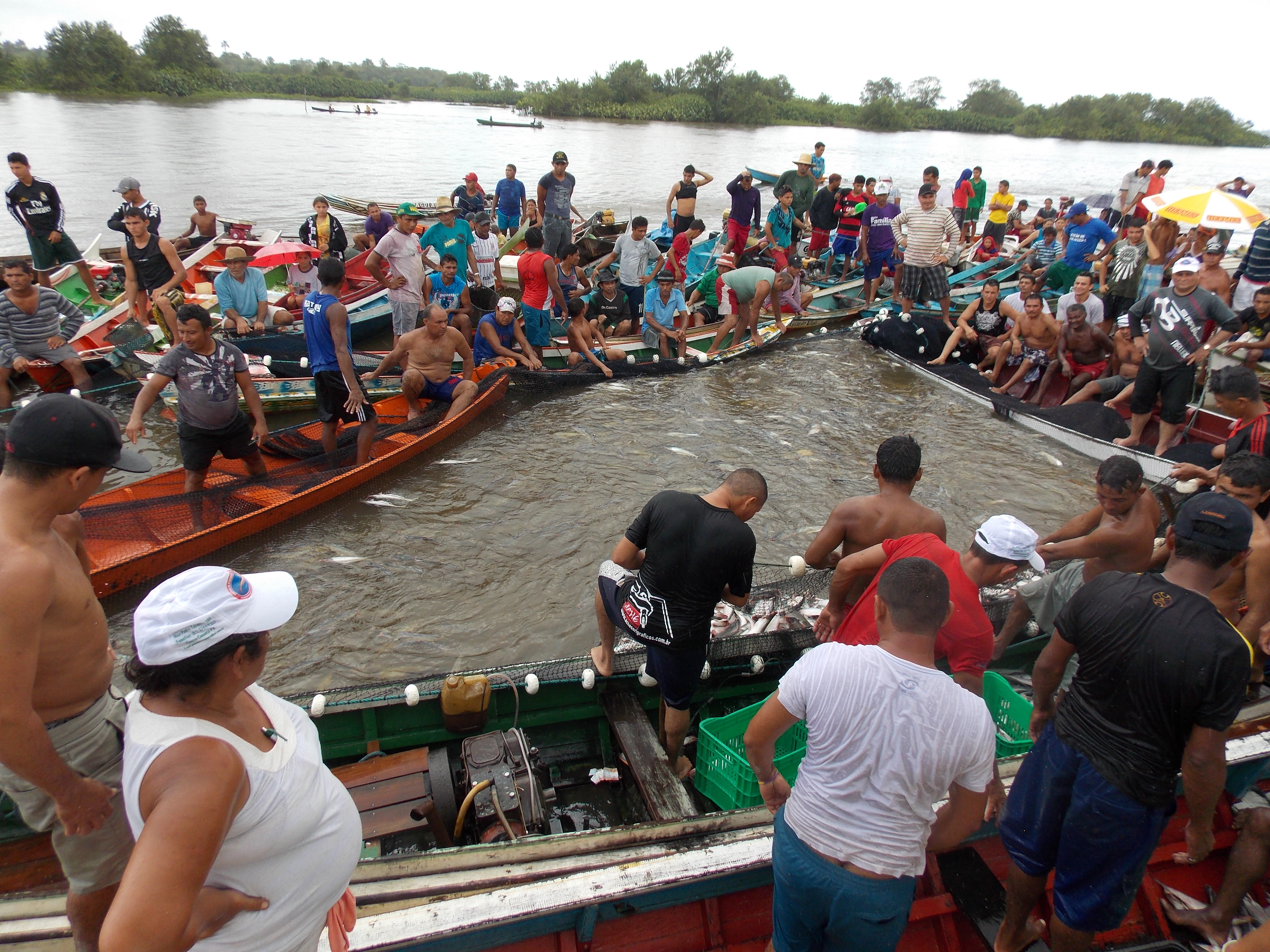 Pesca de borqueio.JPG